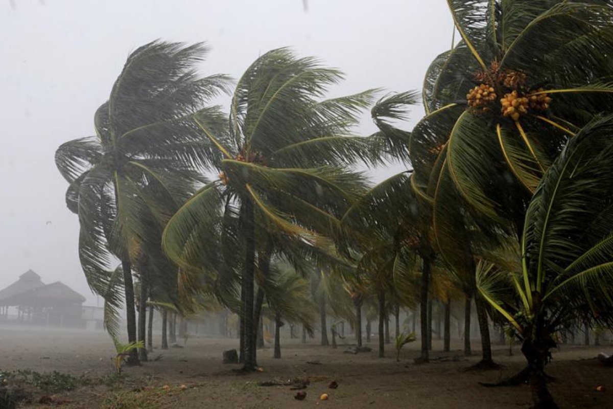 Eta deviene en poderosa tormenta tropical al avanzar hacia Cuba y amenaza al sur de Florida con una "marejada ciclónica potencialmente mortal"