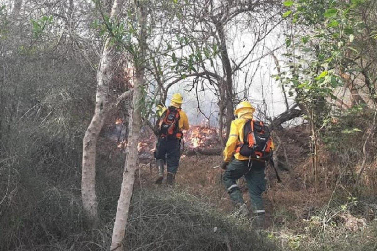 Incendio en Isla Tara Inti: Se detuvo a un sujeto de 46 años domiciliado en barrio San Lorenzo