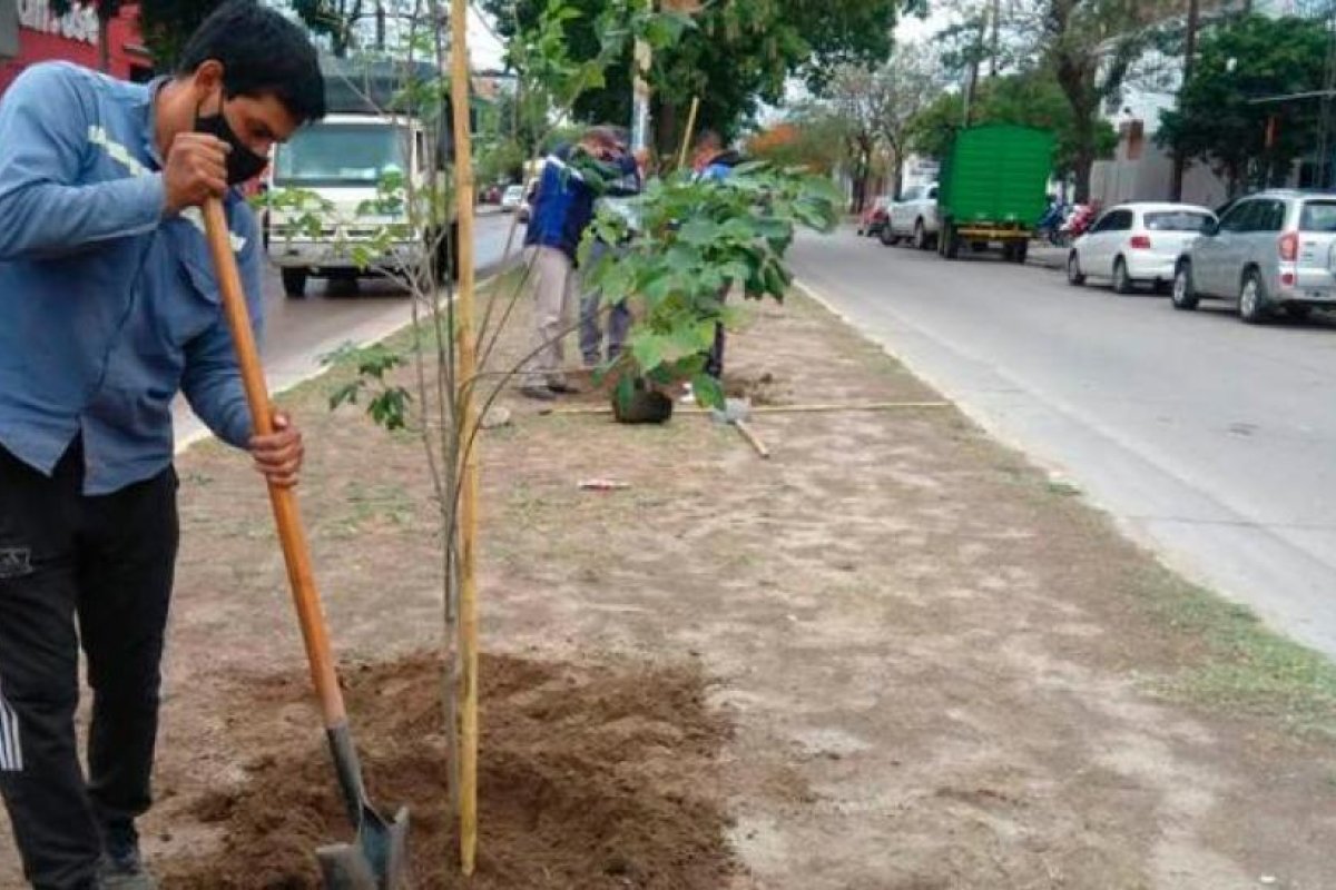 Municipio bandeño busca alcanzar los 20 mil arboles plantados en la ciudad