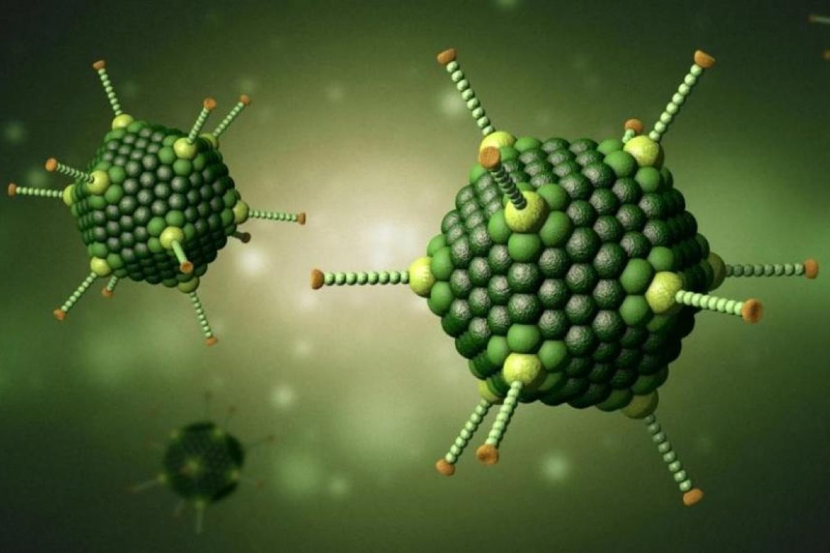 Descubren el adenovirus que causó los misteriosos casos de hepatitis en niños