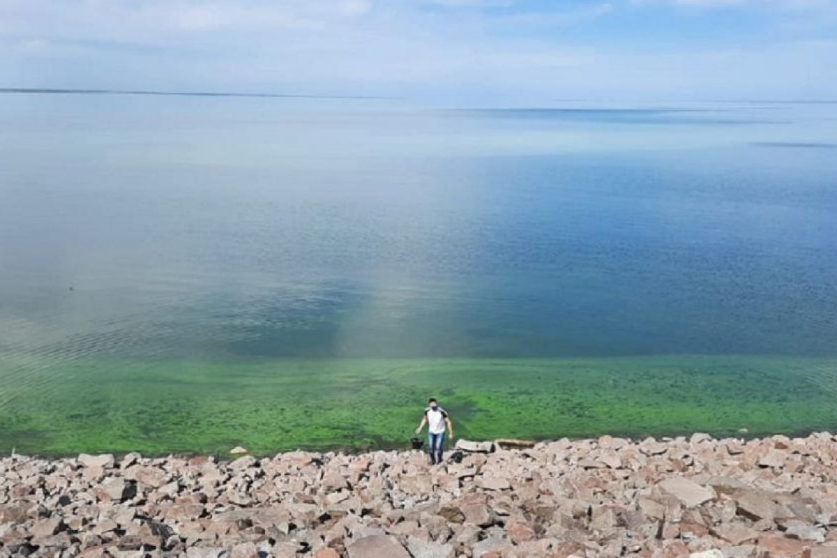 Control y seguimiento de algas verdeazuladas en el Embalse Río Hondo