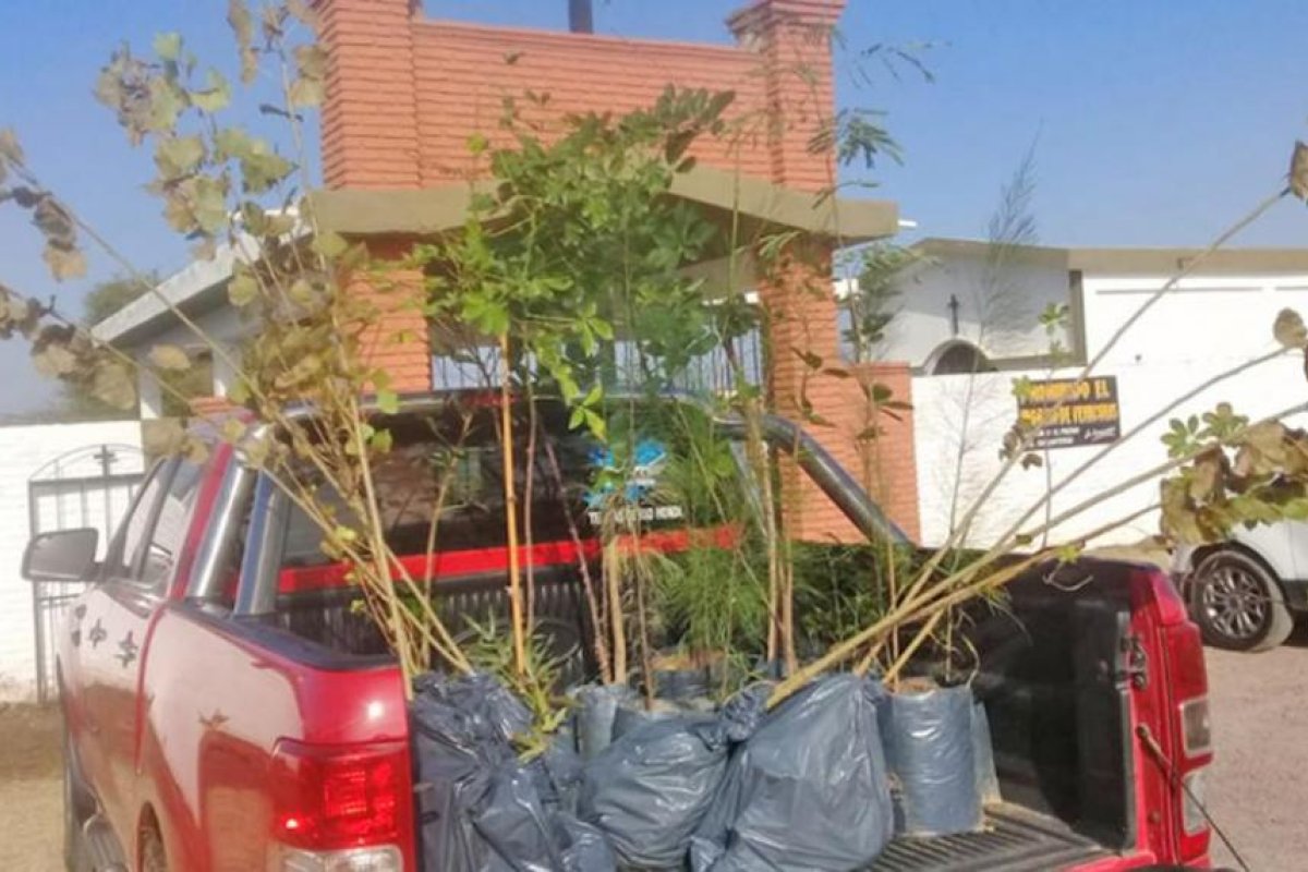La Aguada: Entregan árboles a la comisión directiva del cementerio