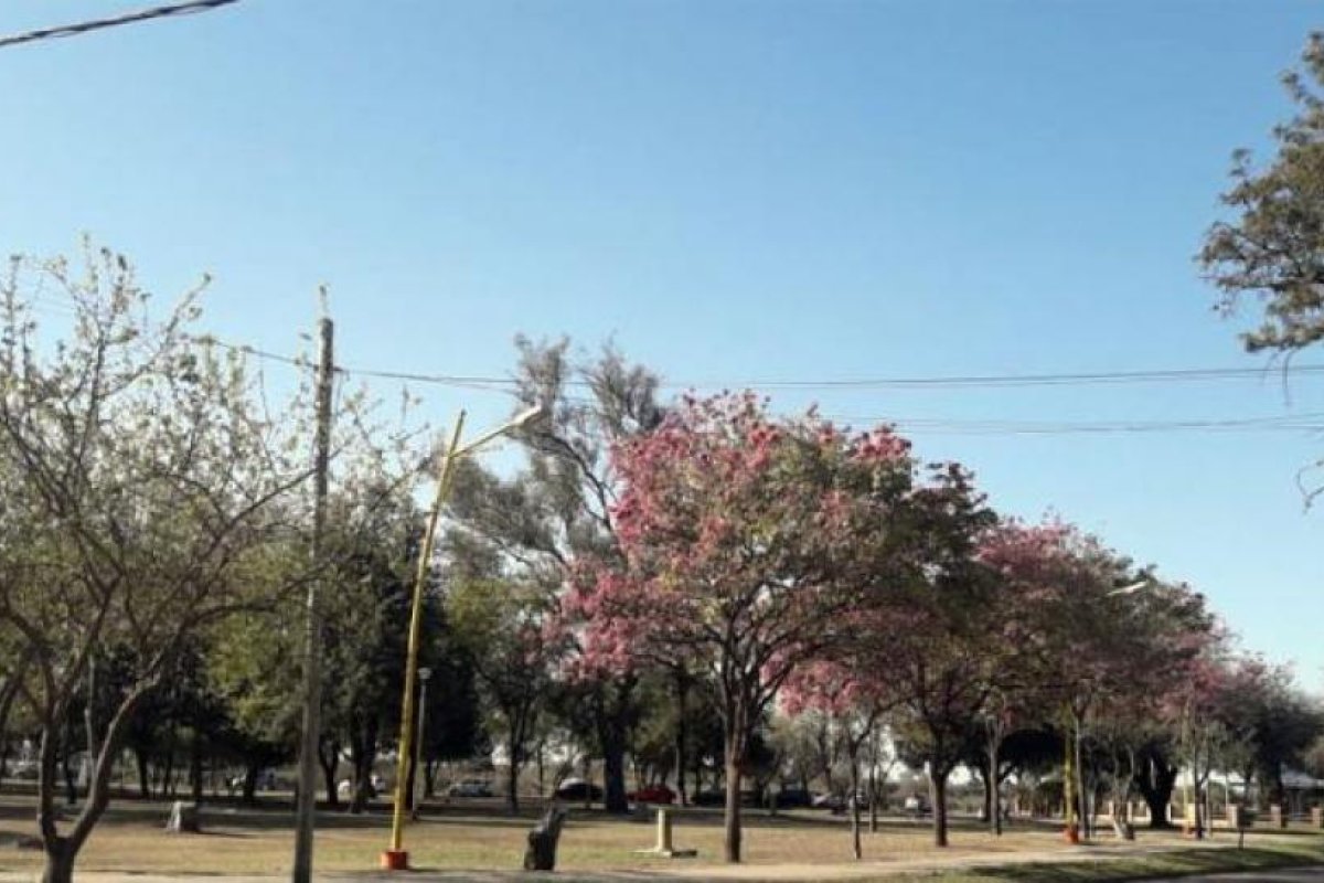 Octubre se despide con un sábado bien primaveral
