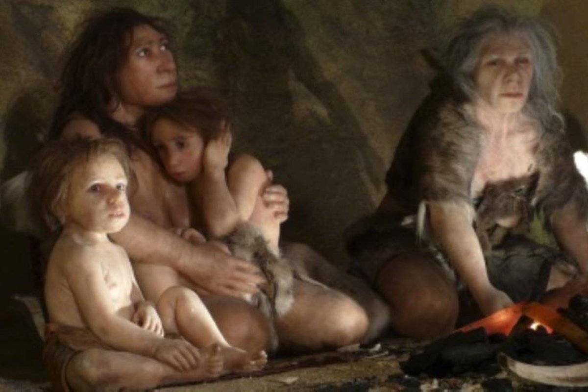 Descubren que los bebés neandertales tenían el pecho corto y robusto como sus padres