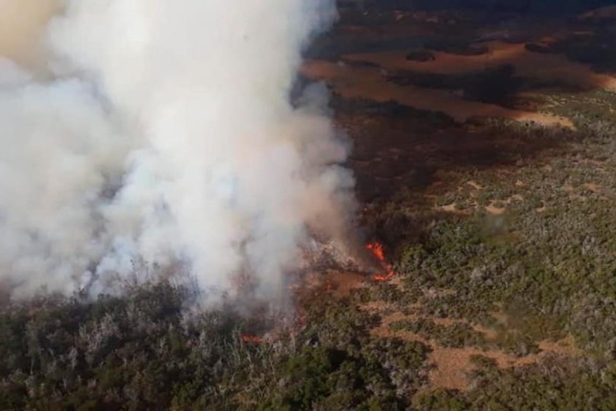 Continúan activos los focos de incendios forestales en Río Negro y Chubut