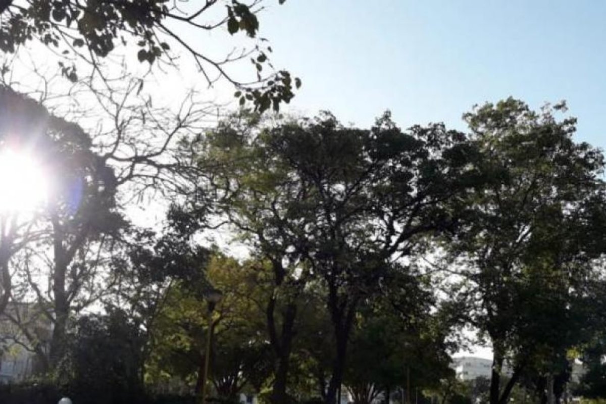 Anuncian un miércoles con una máxima de 32ºC