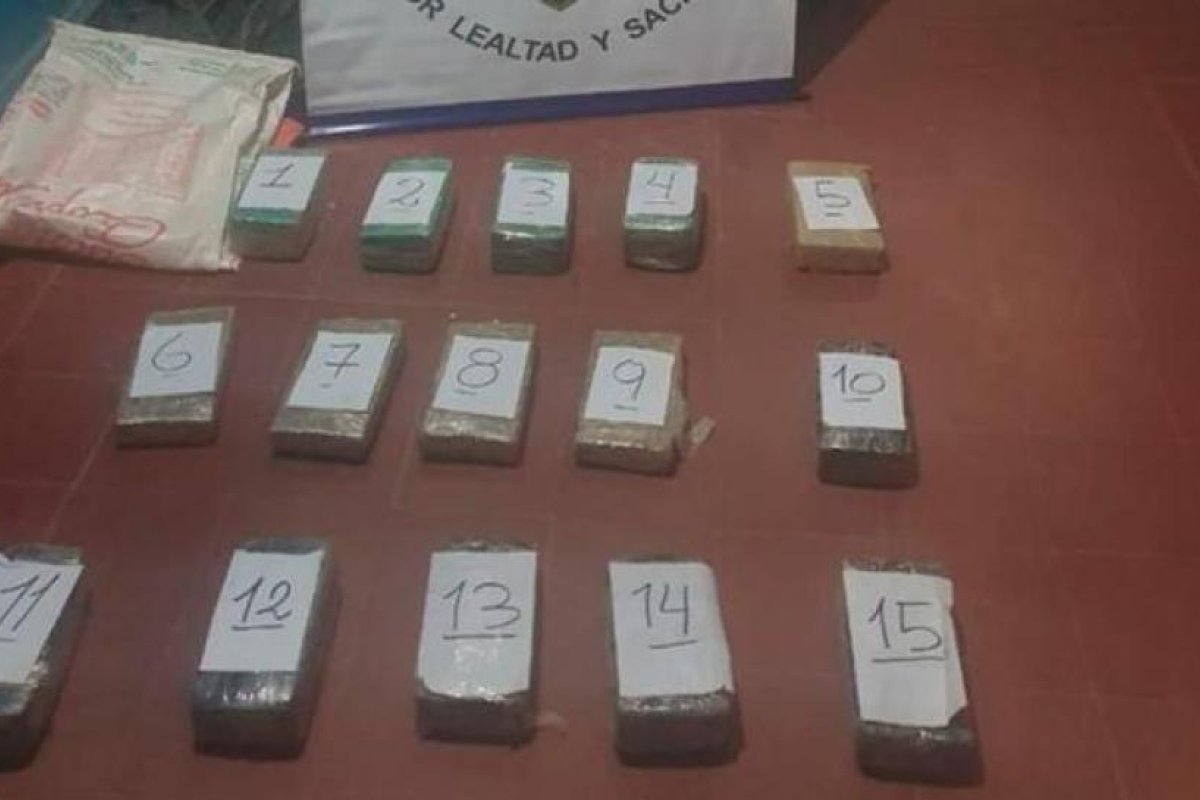 Secuestran en la Puna 15 kilos de marihuana