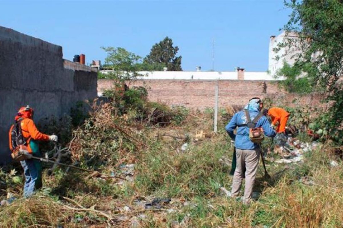 El municipio ejecutó un nuevo operativo de limpieza en un terreno privado del B° Villa Eloisa