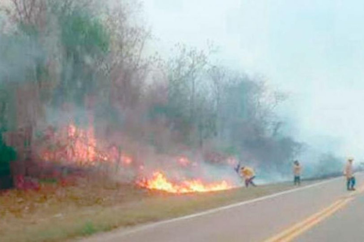 Ocho provincias continúan con focos de incendios activos
