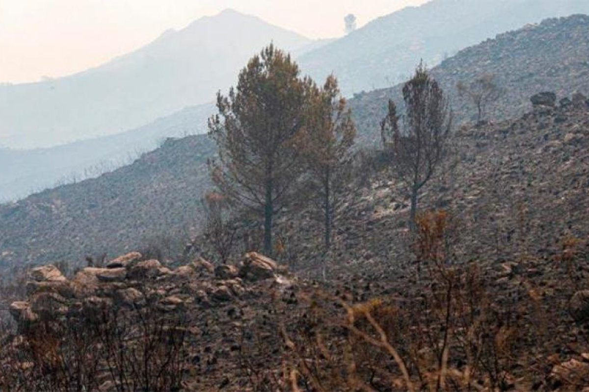 Llovió en Córdoba después de cinco meses y se extinguieron los focos de incendios