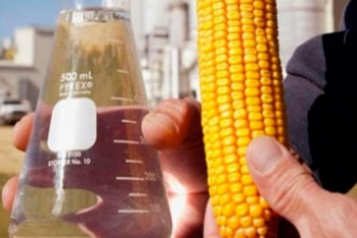 Córdoba avanza en las gestiones para la exportación de bioetanol a Brasil
