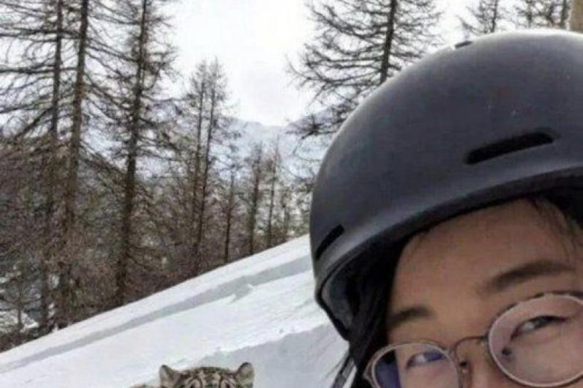 Mujer herida por leopardo de las nieves tras imprudente selfie en China