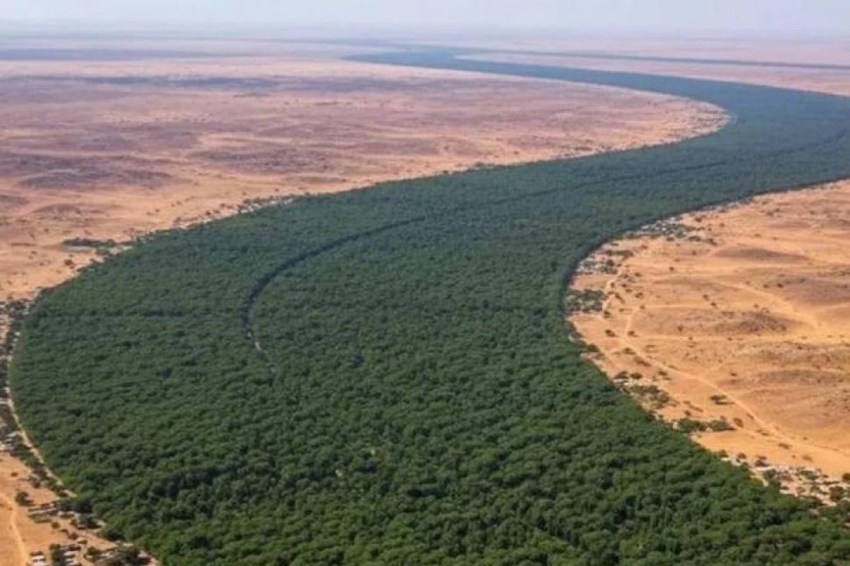 Iniciativa de la Gran Muralla Verde: un proyecto para recuperar tierras en África
