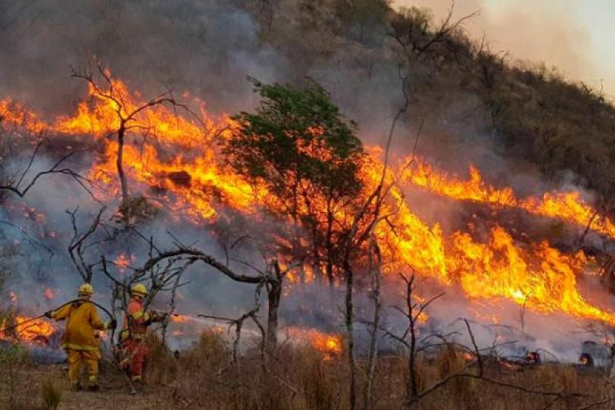 Verifican la extinción del último incendio que se encontraba activo en Jujuy