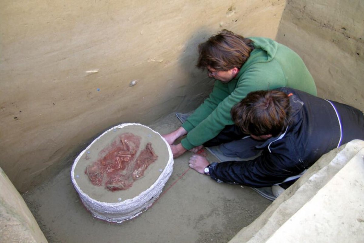 Hallazgo arqueológico: descubren el entierro de gemelos más antiguo del mundo