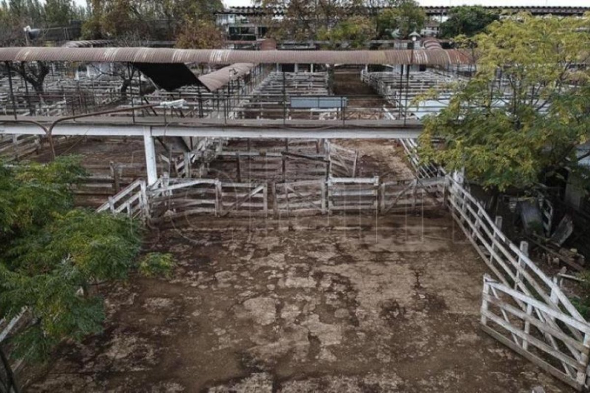 Kulfas: el cierre de las exportaciones busca "ordenar el funcionamiento del sector"