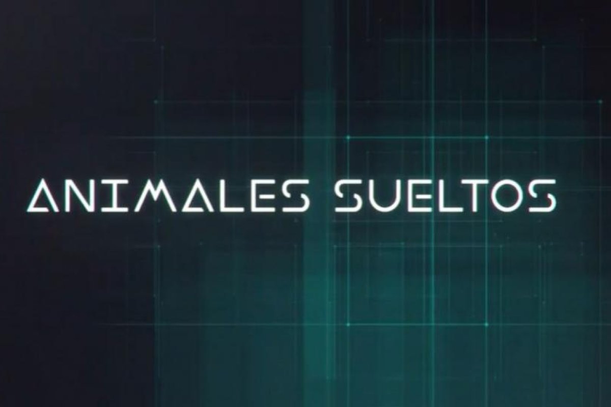 Animales Sueltos se muda de canal: irá en A24