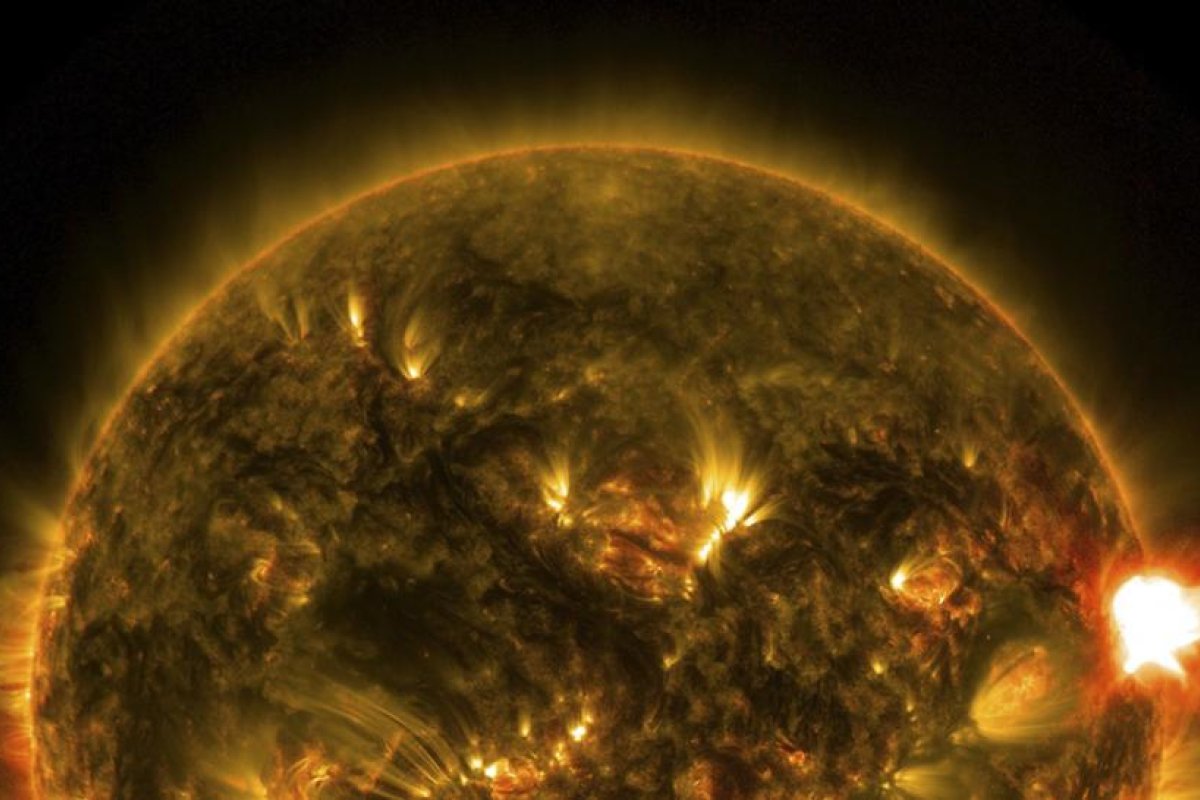 Una nube de plasma de una erupción solar cubrió la Tierra