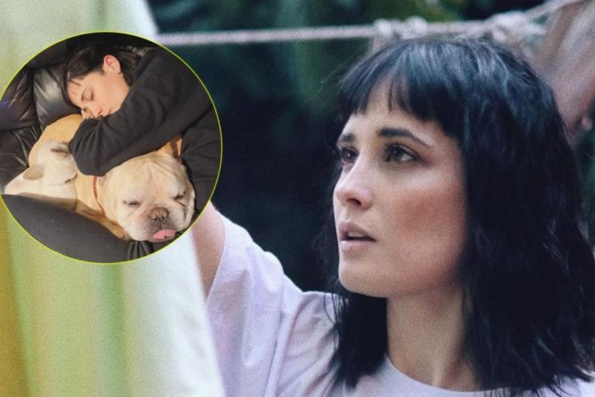 Flor Torrente, devastada: murió su perro Kung Fu