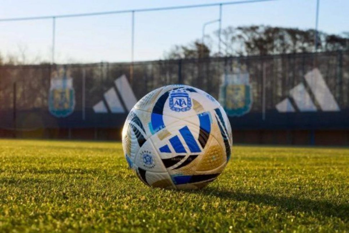 Marcelo Sarmiento: de Campeón Internacional a Carpintero Apasionado