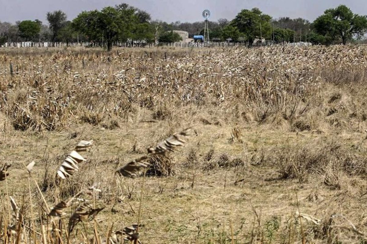 La sequía afecta a la región, en particular a Brasil, con un fuerte impacto productivo