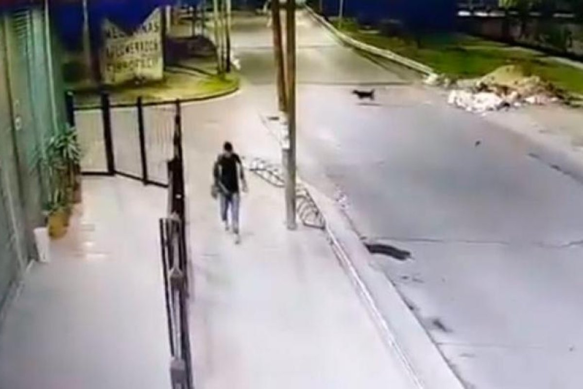 Una mujer fue asesinada a golpes y puñaladas: detuvieron a un hombre