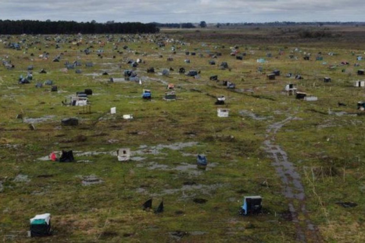 Agrimensores piden activar banco de tierras fiscales en todos los municipios