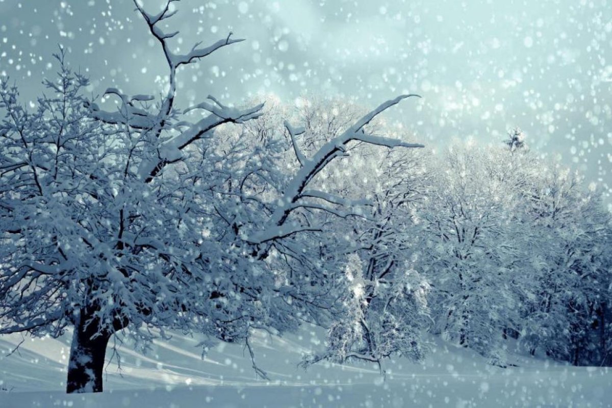 Clima en Perito Moreno: cuál es el pronóstico del tiempo para el martes 6 de octubre
