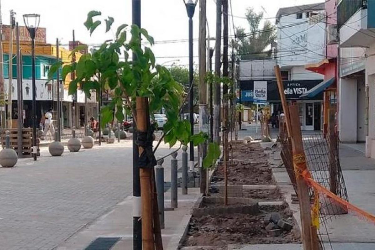 Los lapachos llenarán de color las nuevas semipeatonales de La Banda
