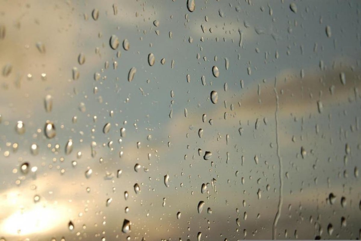 Clima en Viedma: cuál es el pronóstico del tiempo para el domingo 3 de enero