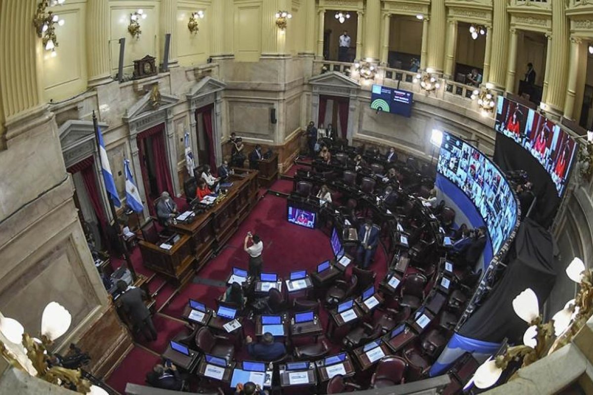 El Senado debatirá el proyecto sobre medidas para combatir la pandemia