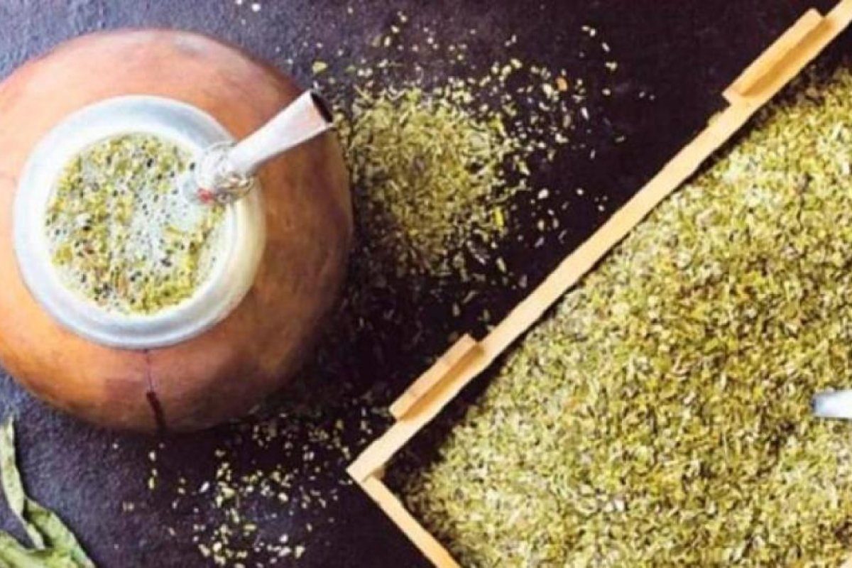 El Gobierno reguló la presencia de palo y polvo en la yerba mate