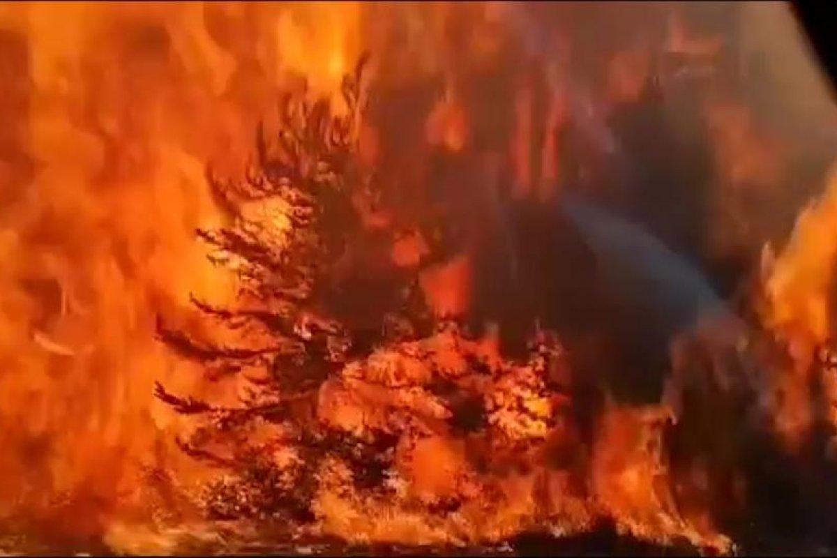 El Presidente viaja a Chubut para recorrer las zonas afectadas por incendios