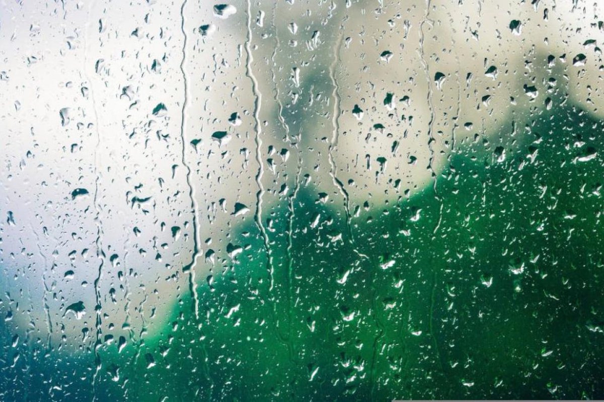 Clima en Maquinchao: cuál es el pronóstico del tiempo para el viernes 1 de enero