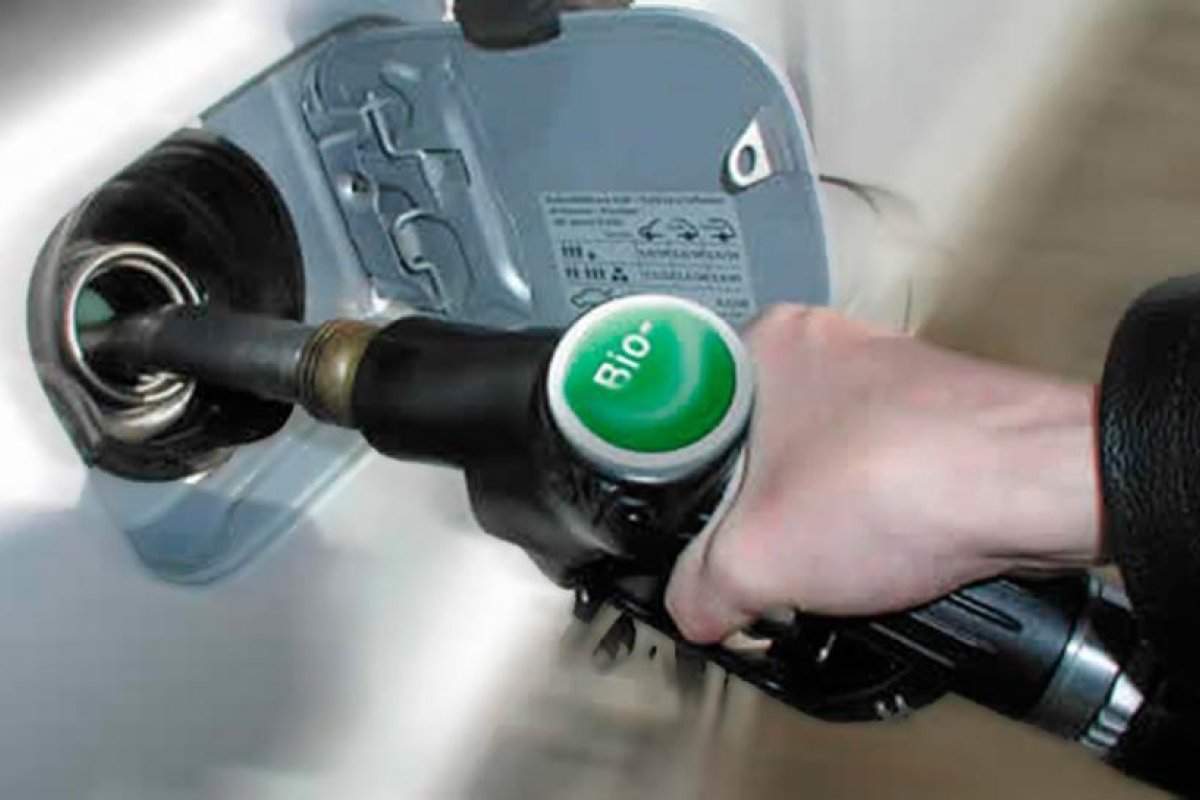 El Senado analiza proyectos sobre biocombustibles y las petroleras piden debatir