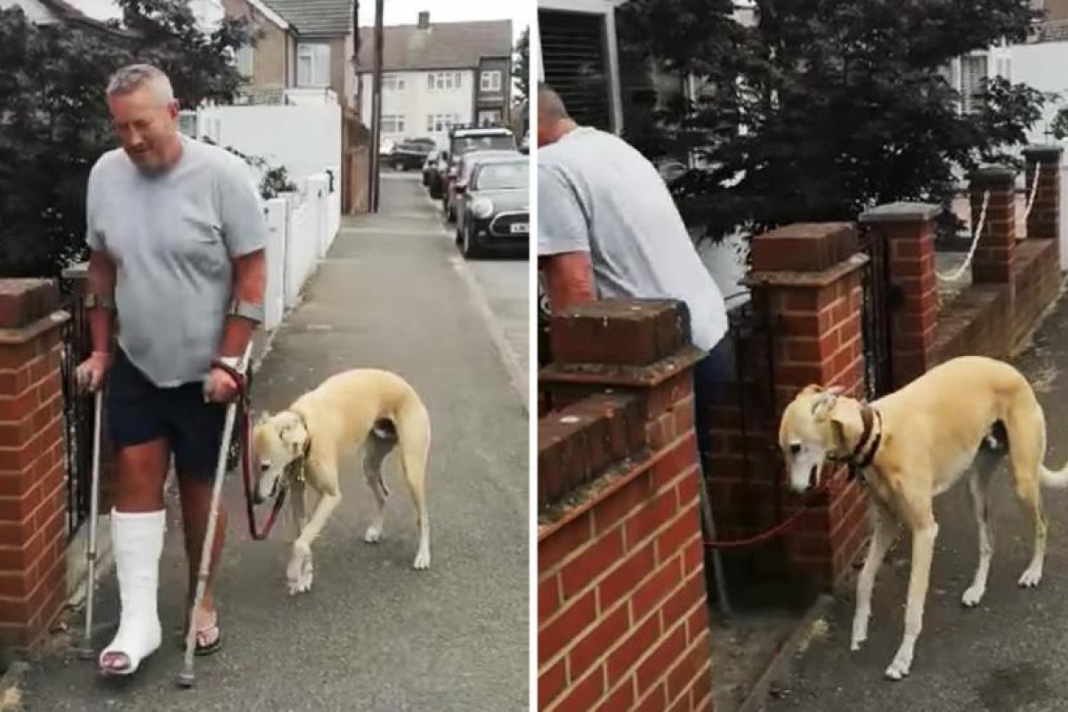 Gasta 400 dólares en hacer examinar la cojera de su perro, solo para descubrir que el can imitaba a su dueño