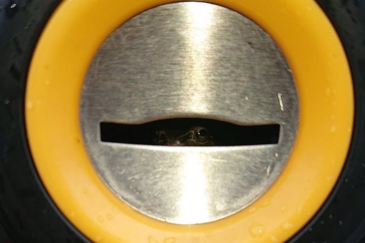 Fue a sacar una gaseosa de una máquina expendedora y descubrió que un par de ojos lo miraban desde adentro