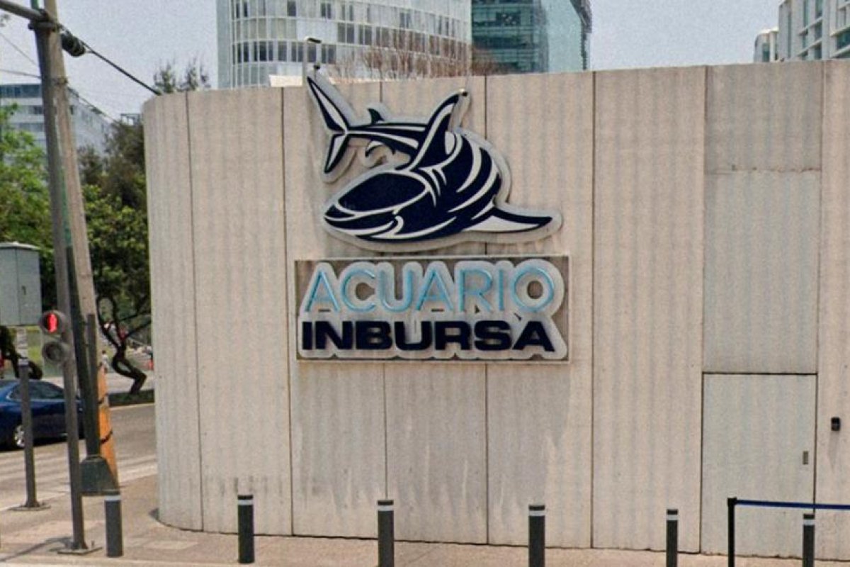 Una bióloga marina de 27 años fallece en un acuario propiedad de Carlos Slim en México y las autoridades investigan lo sucedido