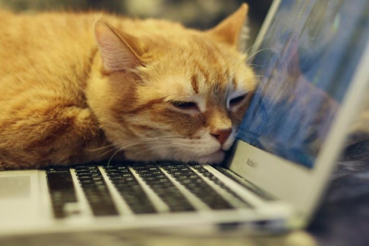 Los Mac sufren "uno de los peores 'hackeos'" en la historia del 'software' de Apple