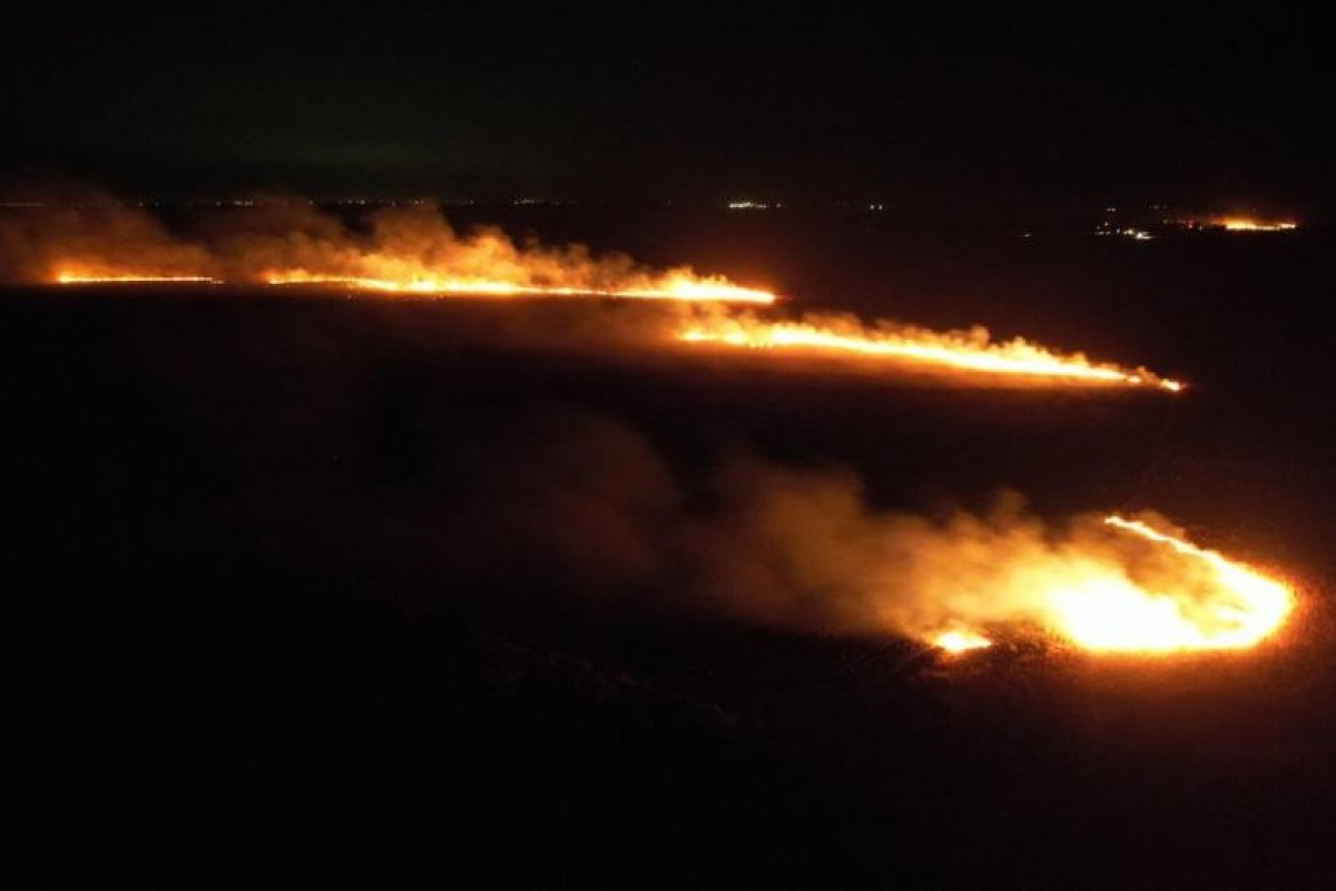 Incendios en Argentina: entre disputas políticas y la millonaria recaudación solidaria de un 'influencer'