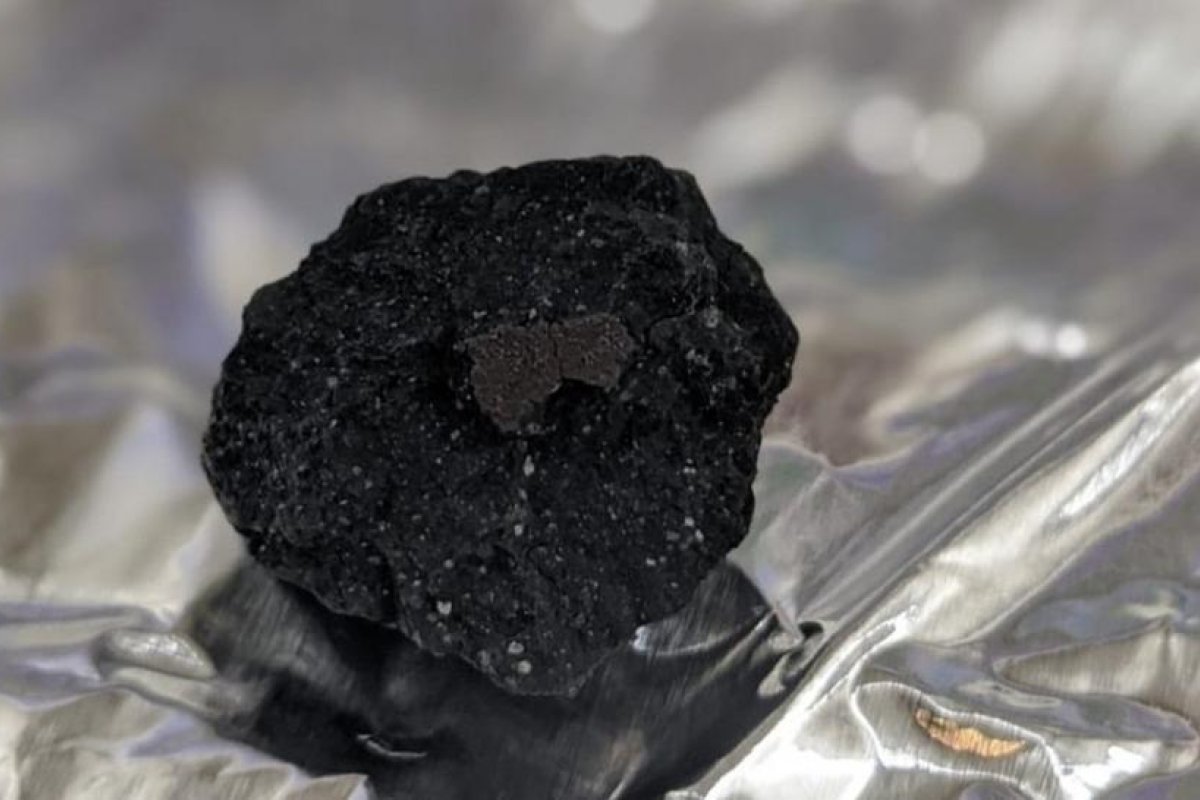 FOTO: Encuentran en su jardín fragmentos de un raro meteorito que puede explicar las primeras etapas del sistema solar