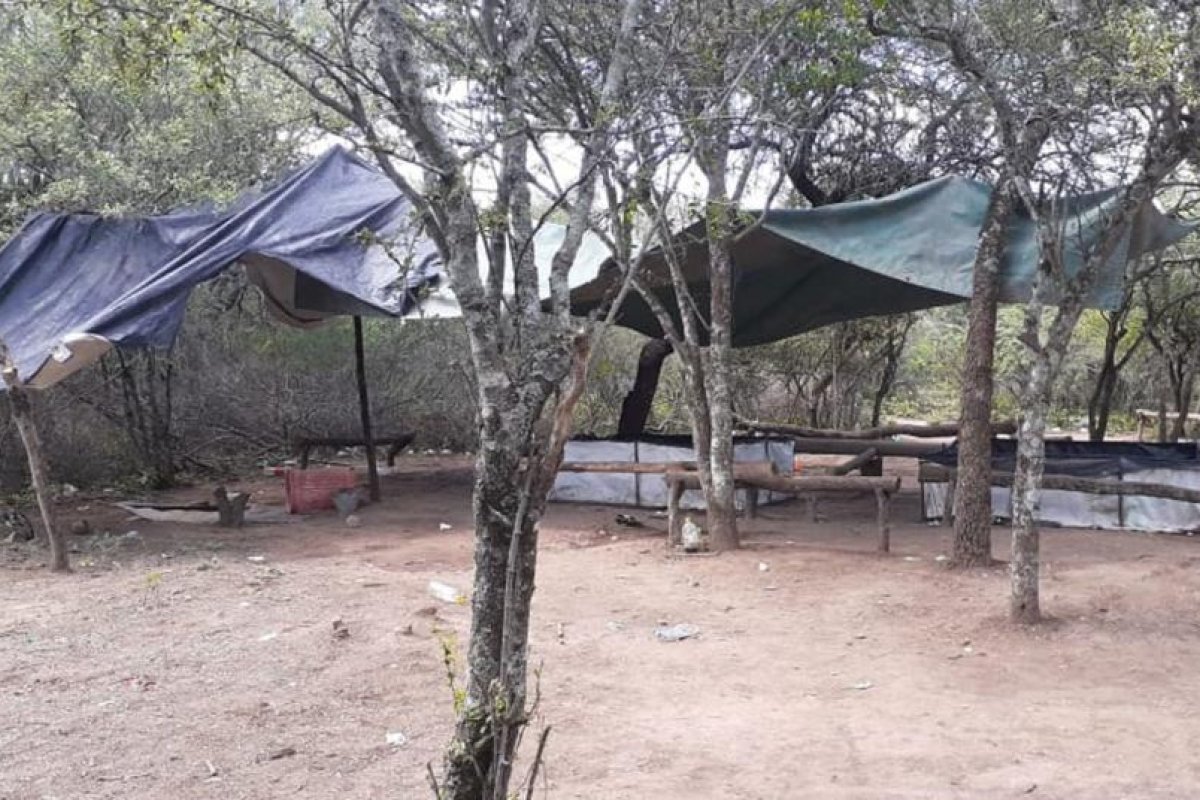 Gramilla: Desbaratan una riña de gallos y apresan a los organizadores