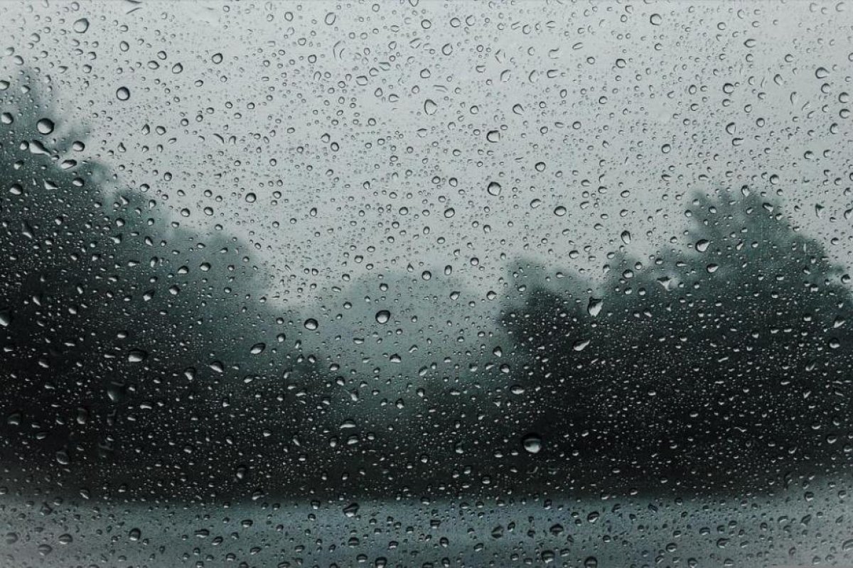 Clima en Bernardo De Irigoyen: cuál es el pronóstico del tiempo para el jueves 26 de noviembre