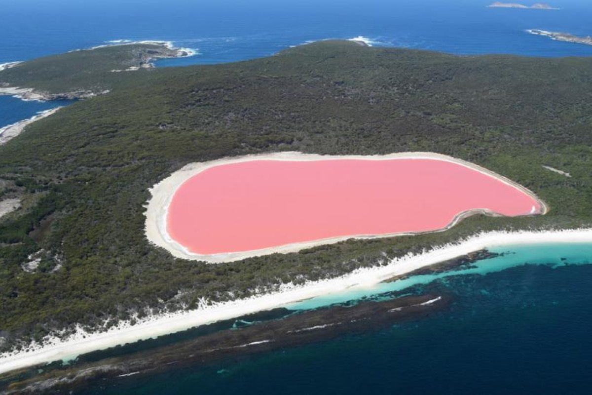 Descubren por qué el agua de un lago de Australia se torna de color rosa brillante