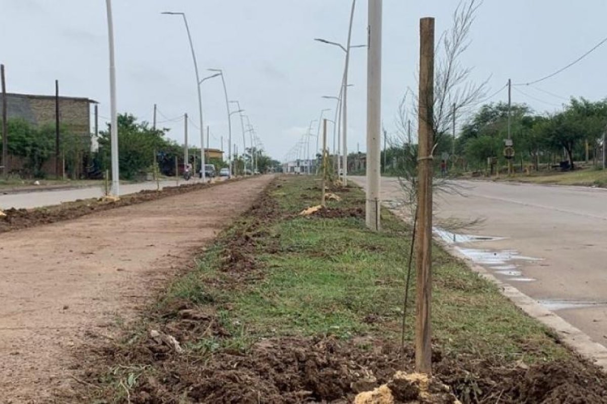 EL MUNICIPIO IMPULSA LA REFORESTACIÓN DE DIFERENTES ESPACIOS PÚBLICOS DE LA CIUDAD