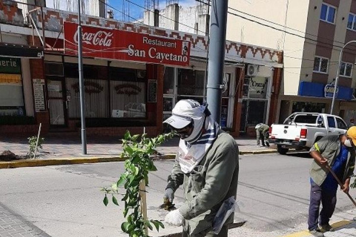 El programa de arbolado urbano “Termas te quiero verde” presente en el microcentro