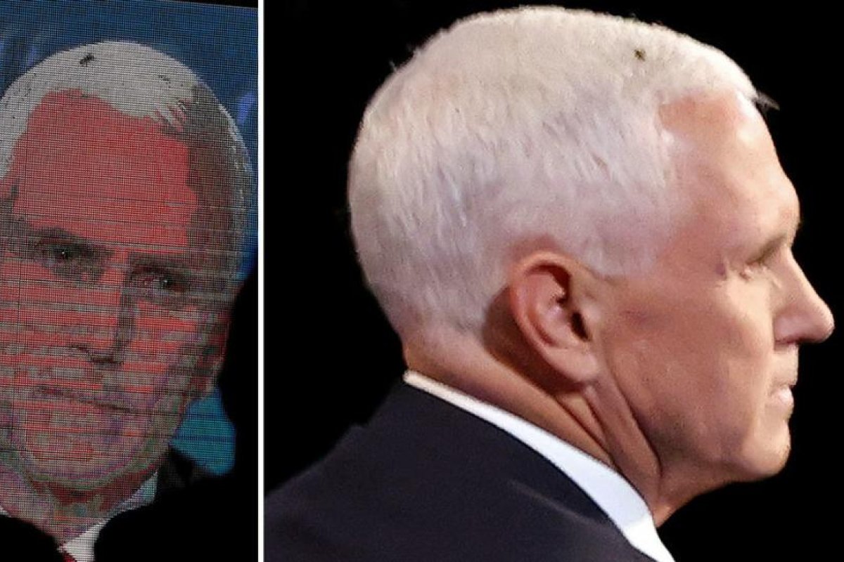 Una mosca en la cabeza de Pence se roba el 'show' durante el debate con Harris y los internautas la proclaman la ganadora del evento