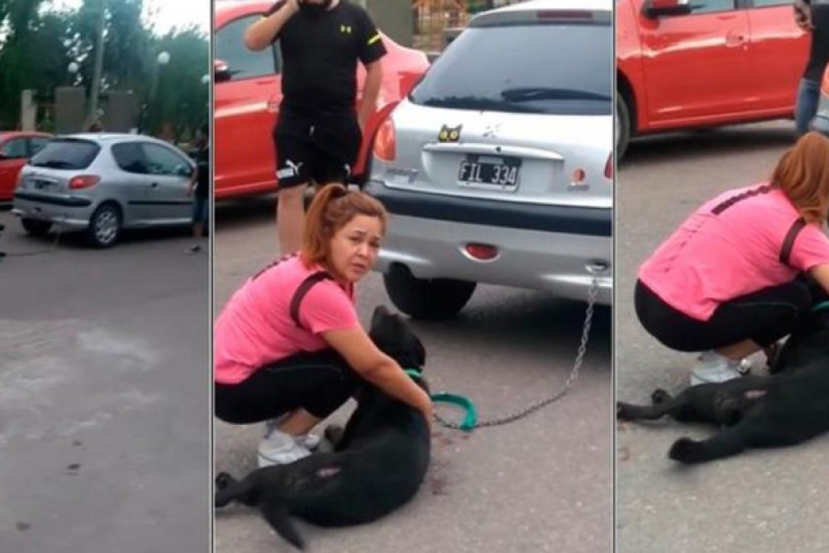 En Mendoza una mujer arrastró a su perro con el auto