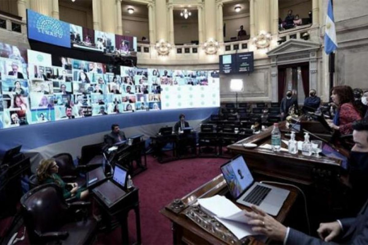 Senadores del Frente de Todos advierten al FMI que "se abstenga de condicionar a Argentina"