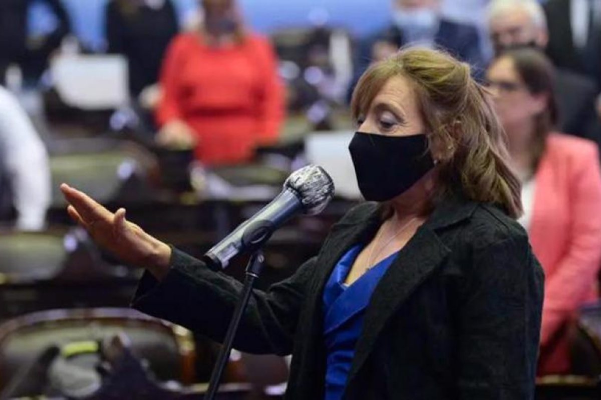 Juró Alcira Figueroa como diputada nacional en reemplazo de Juan Ameri